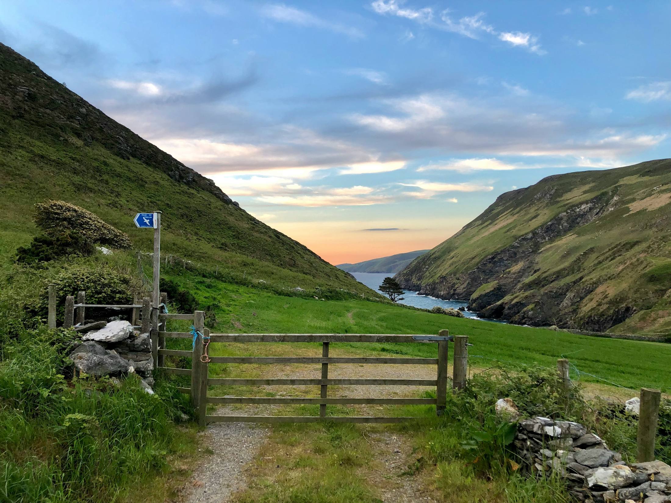 A farm gate across a gravel track in a Manx glen, with the sea beyond at sunset